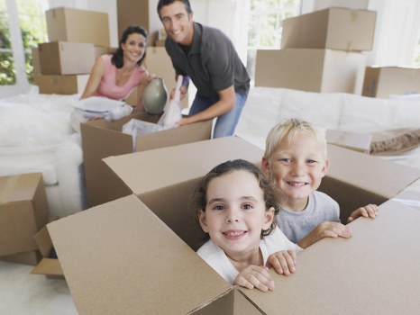 Movers planning a safe removal with protective equipment