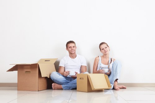 Brixton Movers payment security system with encrypted checkout controls
