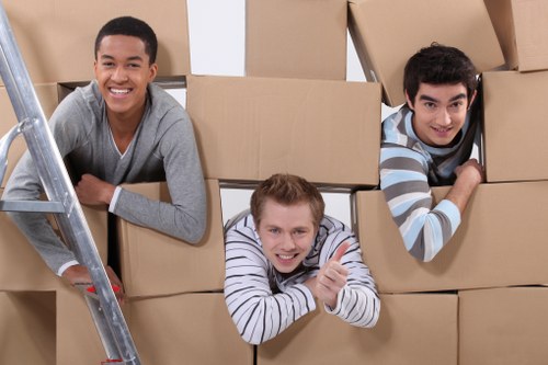 Secure Brixton Movers checkout showing flexible and safe payment choices